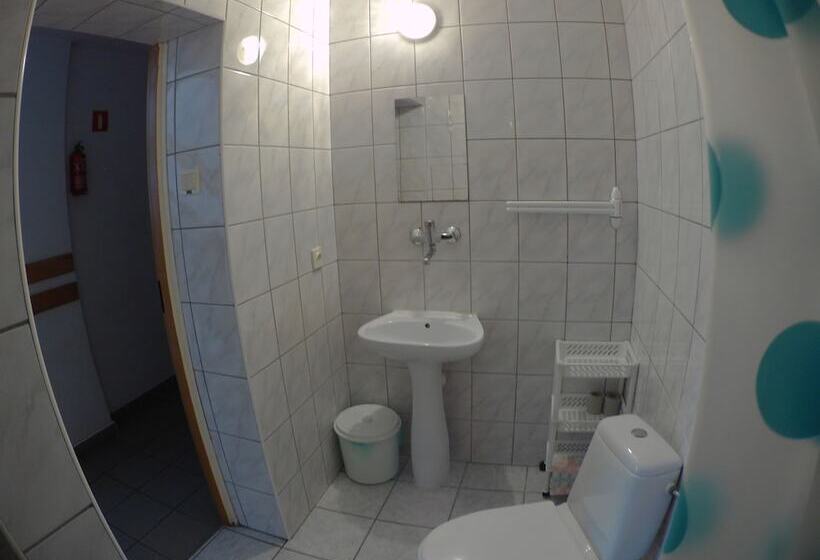 פנסיון Domlesny