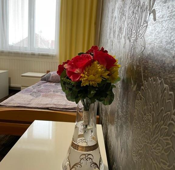 Пансион četnická Stanice Hluboká