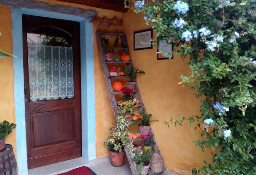 פנסיון L  Affittacamere Funtanedda