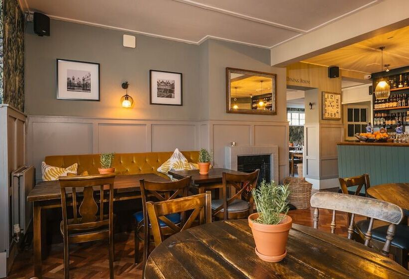 بنسيون The Black Boy