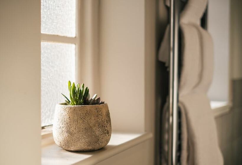 بنسيون The Black Boy