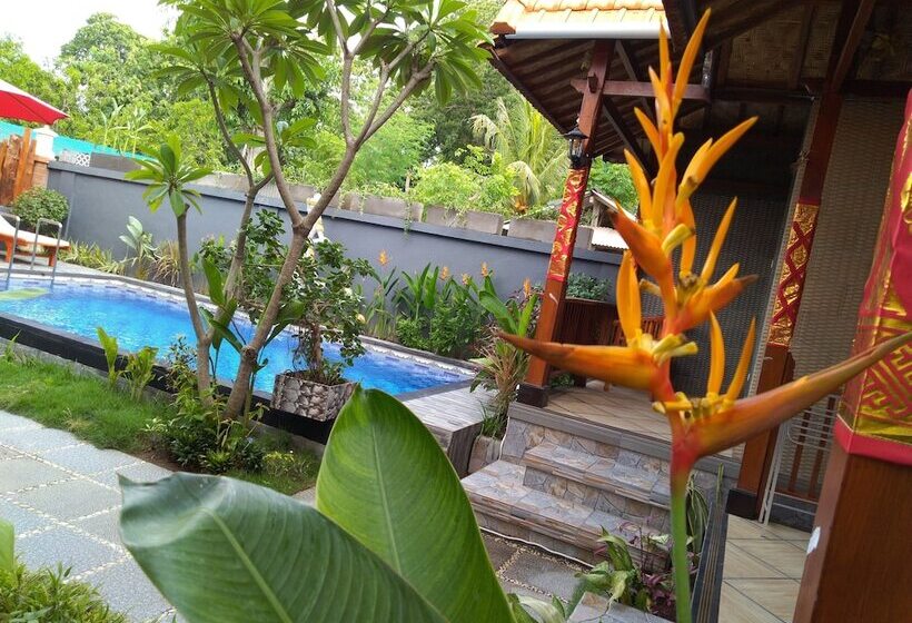 Pensjonat The Cemok's Cottage