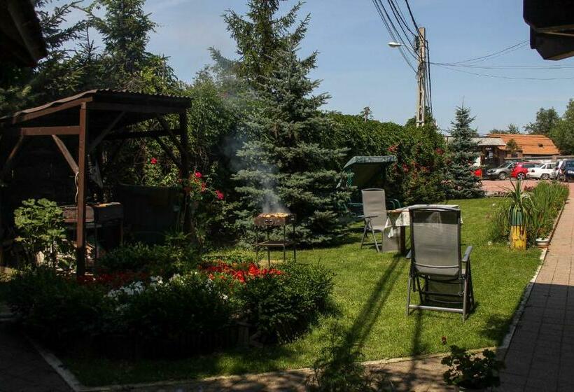 Pension Casa Medievala