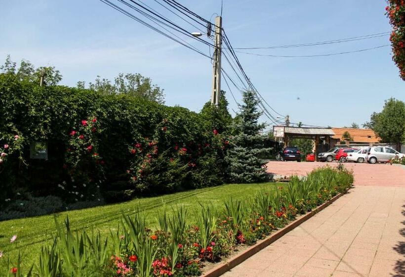 Pension Casa Medievala