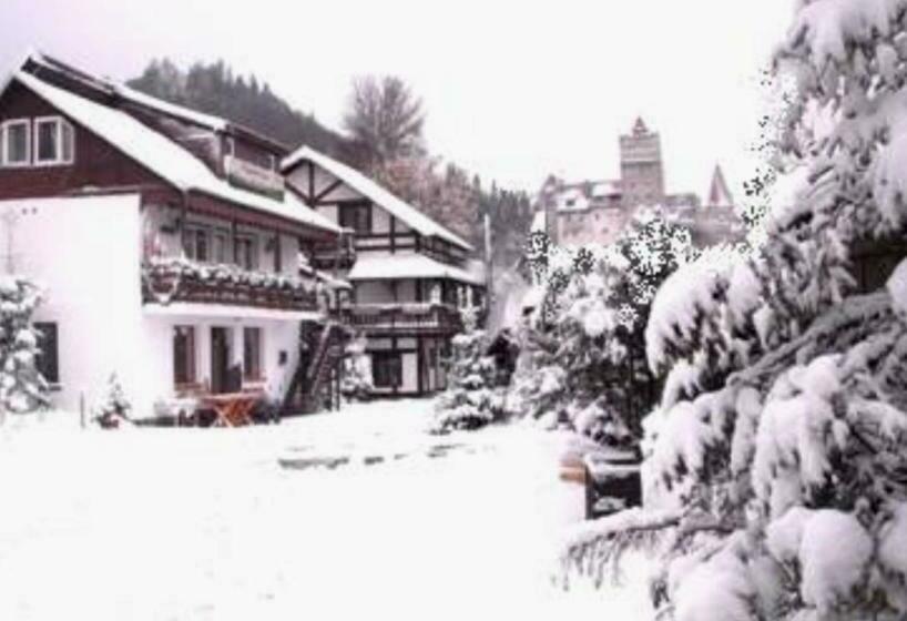 Pension Casa Medievala