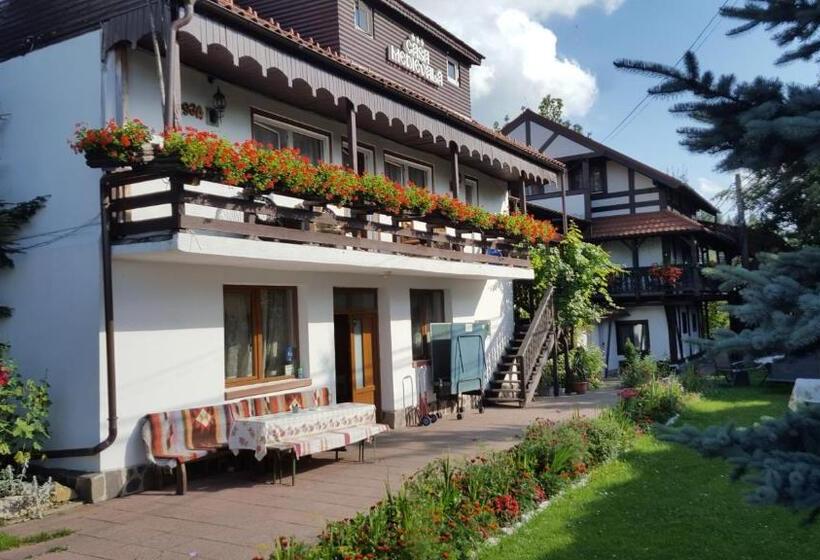 Pension Casa Medievala