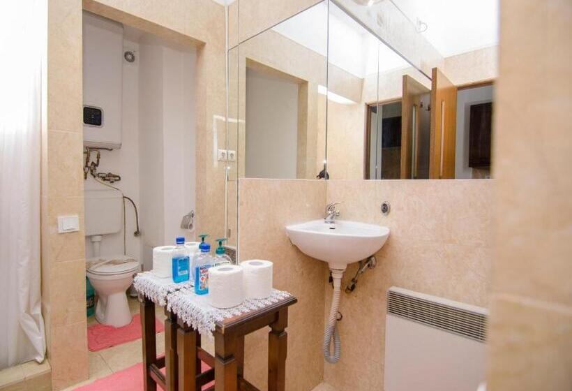 Pension Casa Medievala