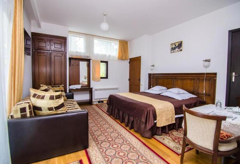 Pension Casa Medievala