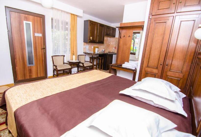 Pension Casa Medievala