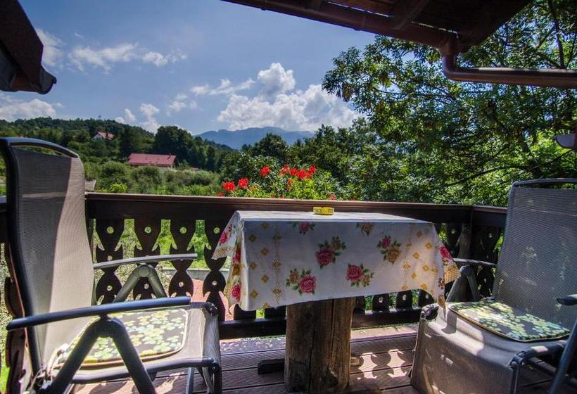 Pension Casa Medievala