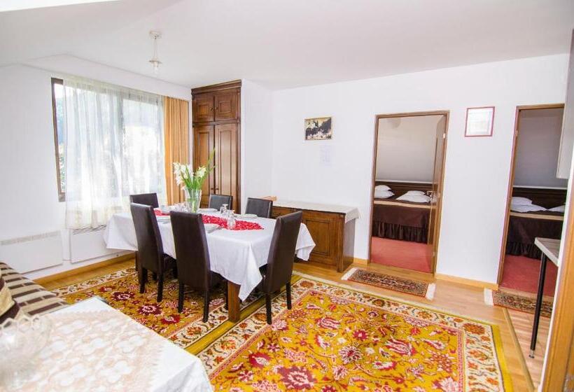 Pension Casa Medievala