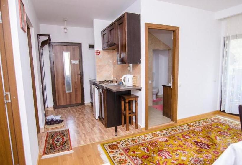 Pension Casa Medievala