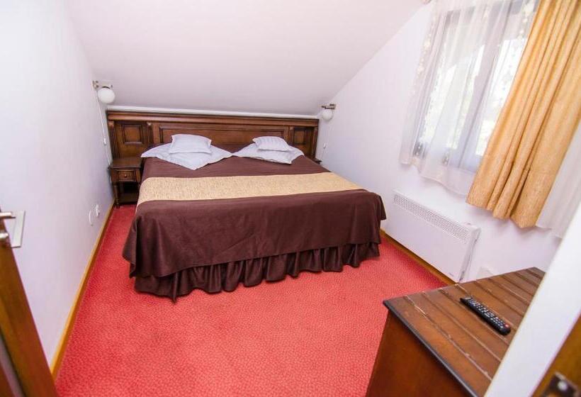 Pension Casa Medievala