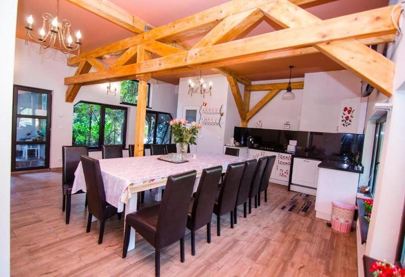 Pension Casa Medievala