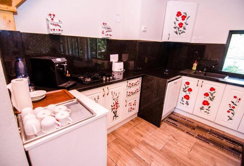 Pension Casa Medievala