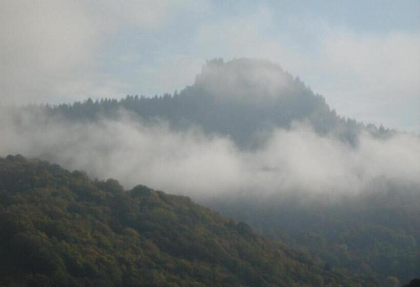 Pensiunea Casa Motilor