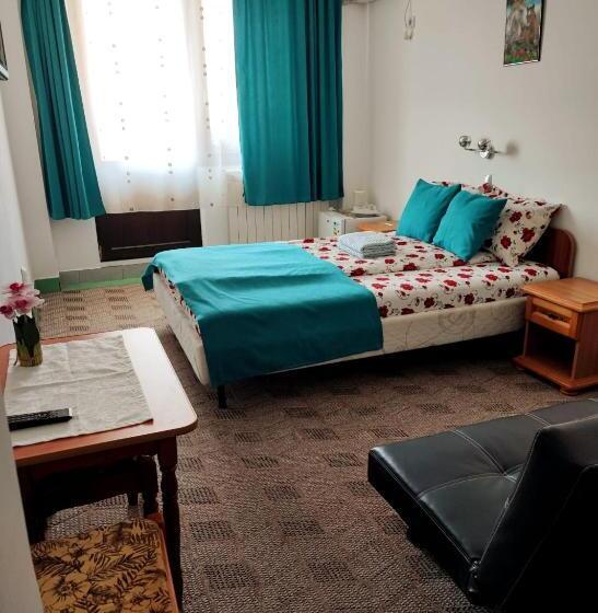 Pensiunea Mikelis International