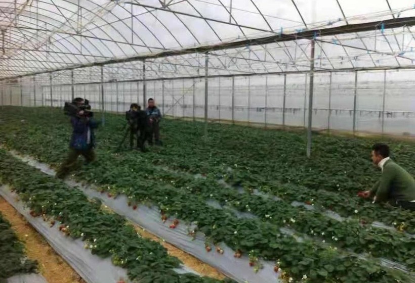 Курорт Southeastern Flying Tiger Manor