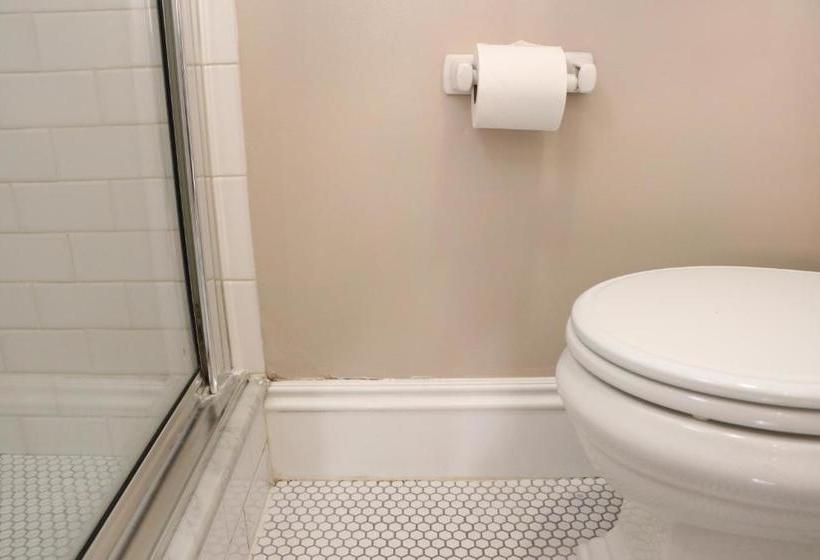 Stylish Downtown Studio In The Southend, C.ave# 3