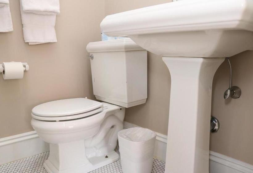 Stylish Downtown Studio In The Southend, C.ave# 3