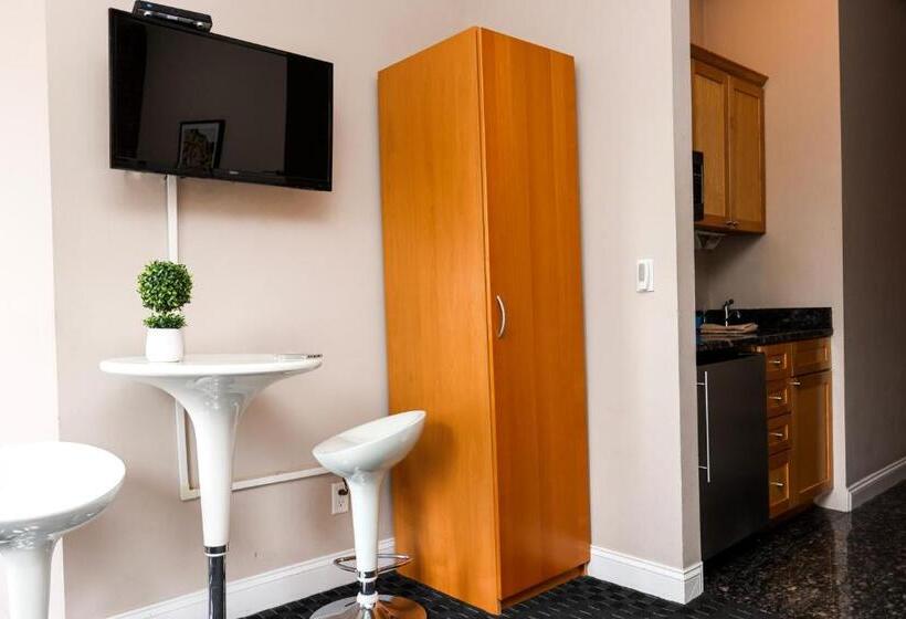 Stylish Studio In Boston Brownstone, C.ave #21