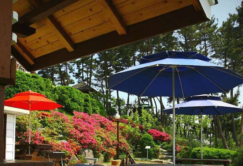 Petit Maison Pension