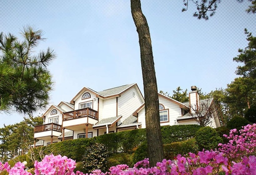 Petit Maison Pension