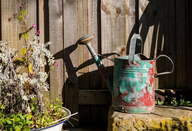 Aggie S Bed & Breakfast