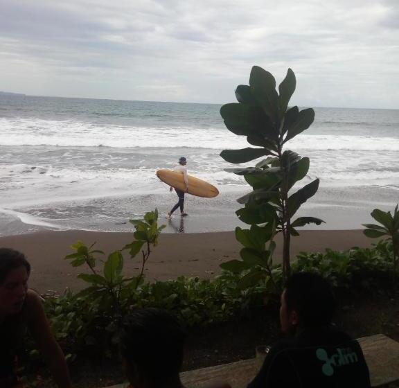 ユースホステル D'jarwo House