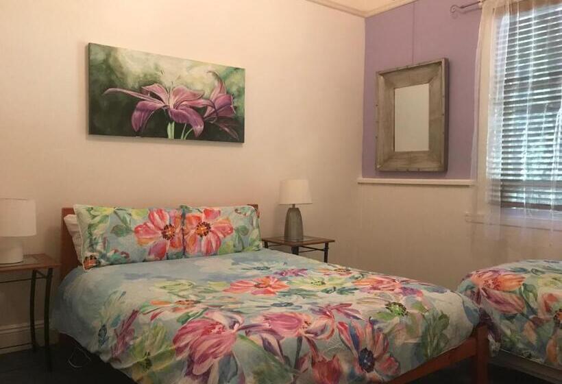 فندق صغير Flying Fox Backpackers