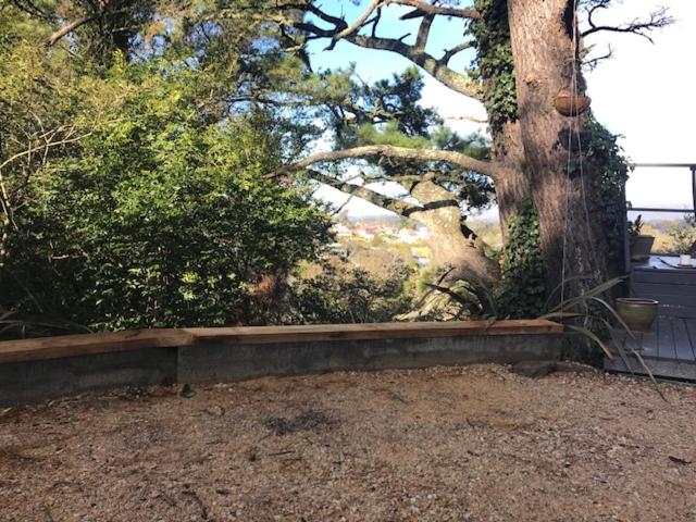 فندق صغير Flying Fox Backpackers