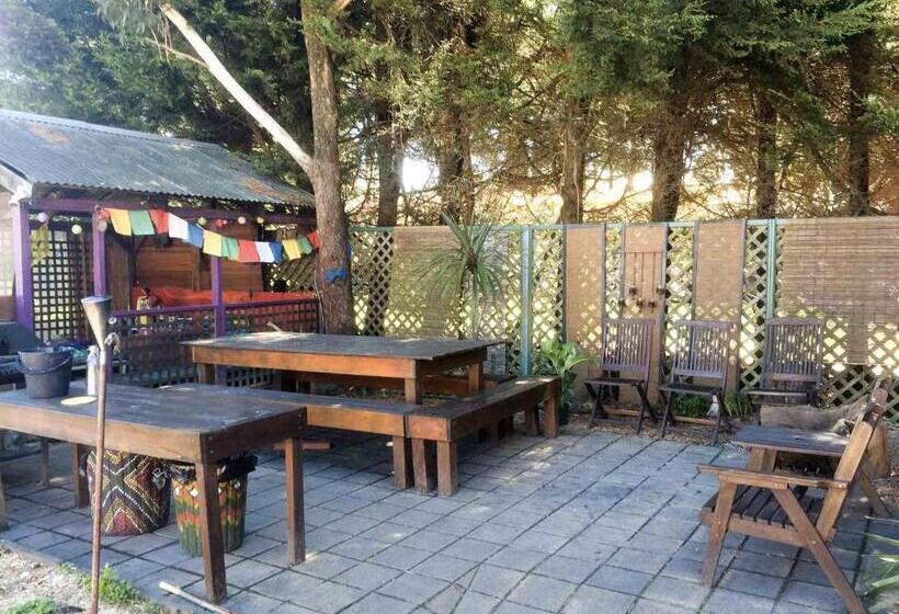 فندق صغير Flying Fox Backpackers