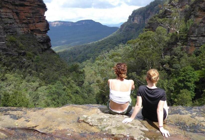 فندق صغير Flying Fox Backpackers