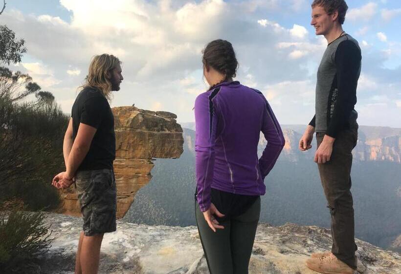 فندق صغير Flying Fox Backpackers