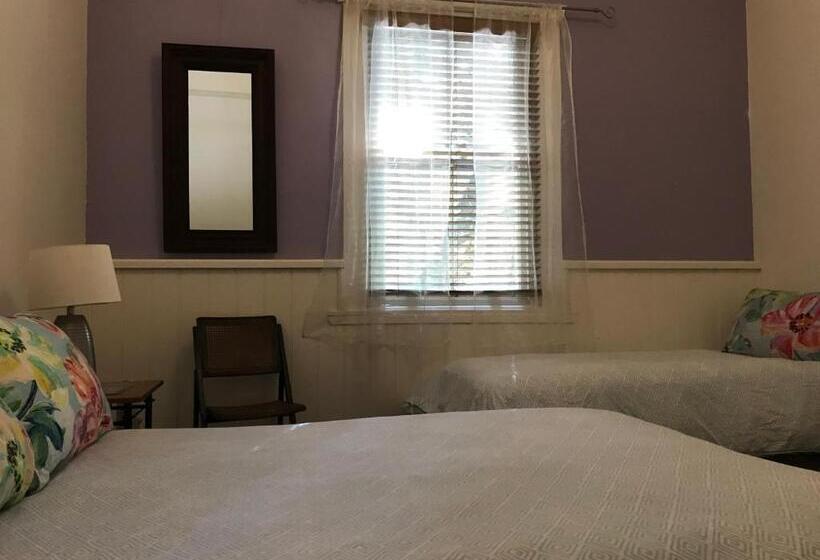 فندق صغير Flying Fox Backpackers