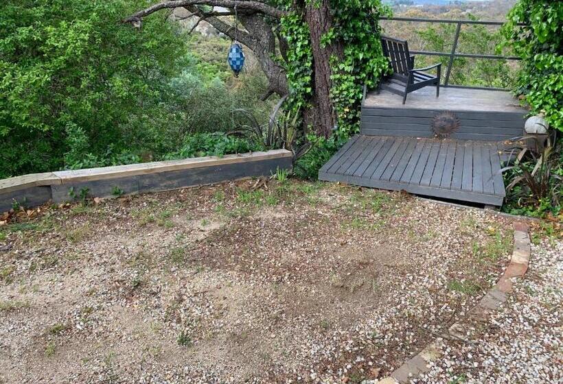 فندق صغير Flying Fox Backpackers