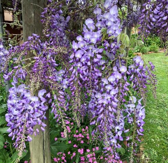 Barossa Barn Bed And Breakfast