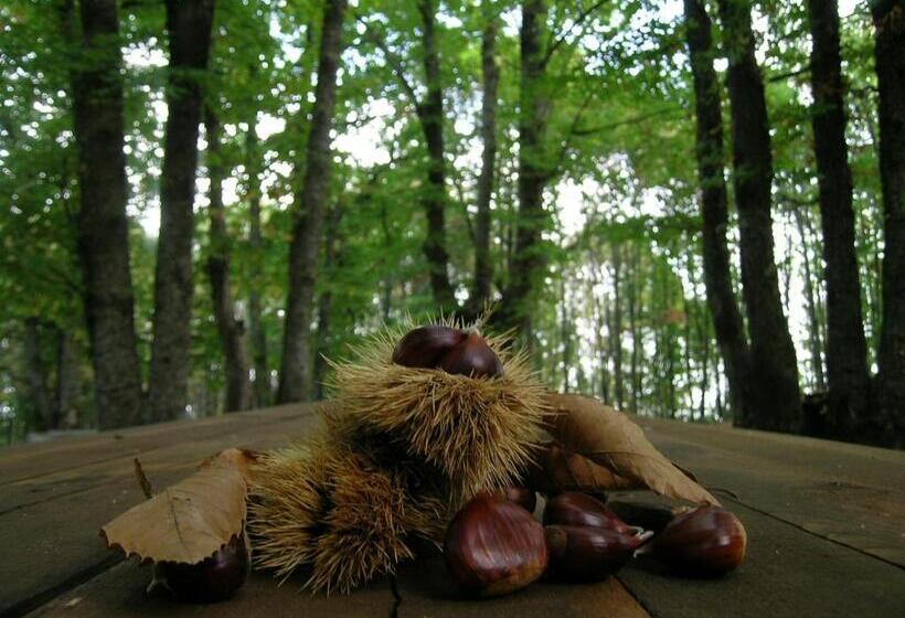 Bed and Breakfast La Residenza Del Marchesato