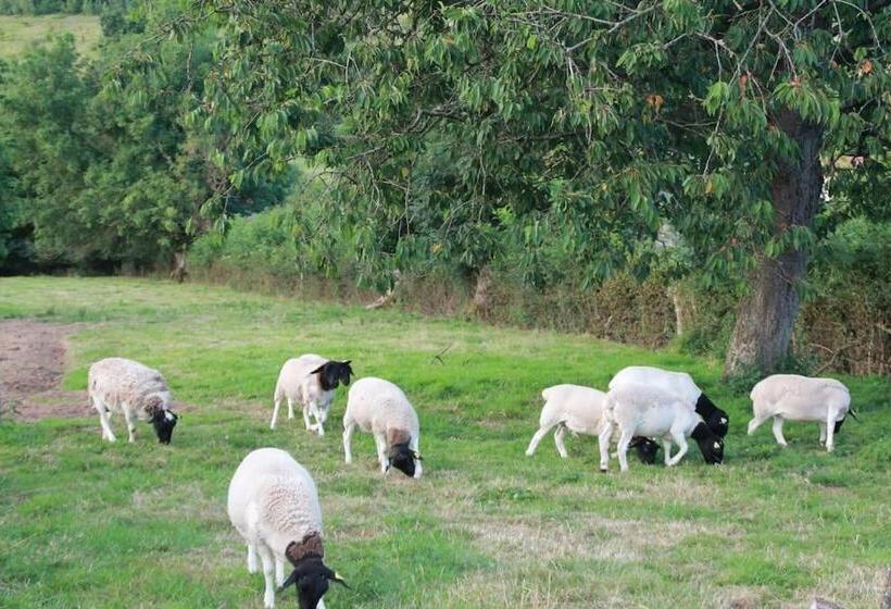 צימר Le Haut Mesnil 5