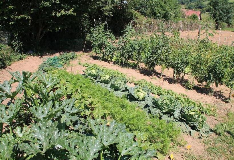 צימר Le Haut Mesnil 5