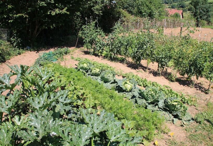 צימר Le Haut Mesnil 5