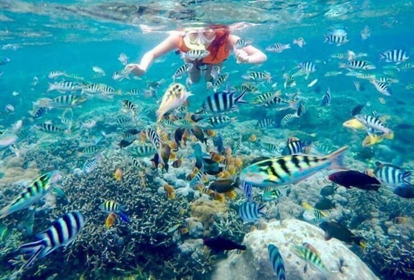 צימר Ocean Brothers