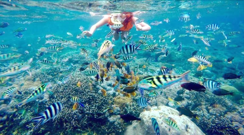 צימר Ocean Brothers