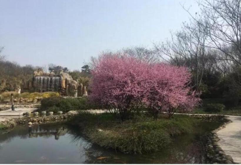 酒店 7 Days Premium·xinyang Railway Station Culture Center