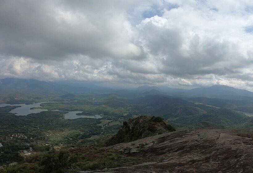 ホテル Arangala Forest Lodge