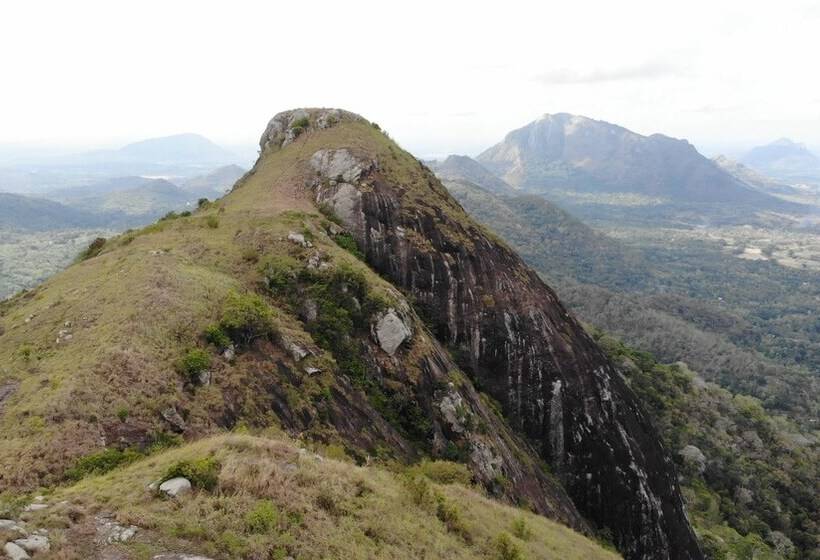 ホテル Arangala Forest Lodge