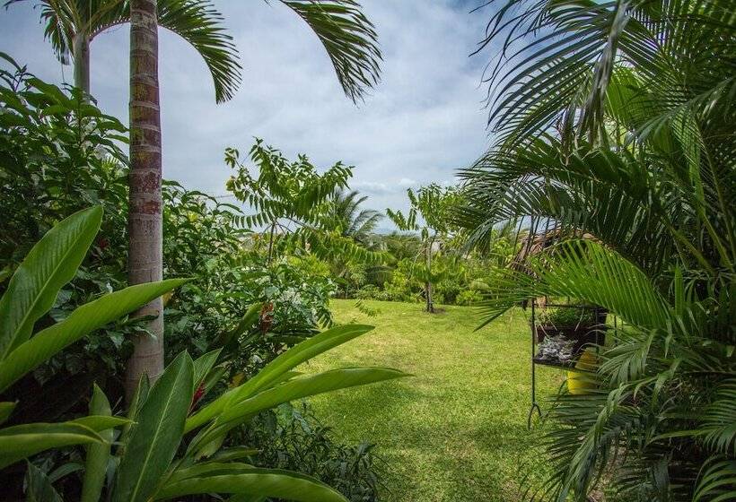 酒店 Arganama Guesthouse