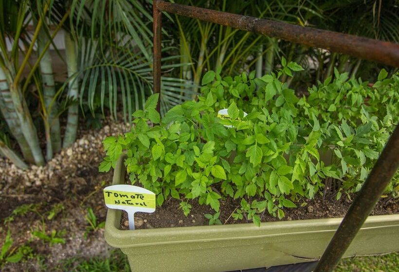 酒店 Arganama Guesthouse