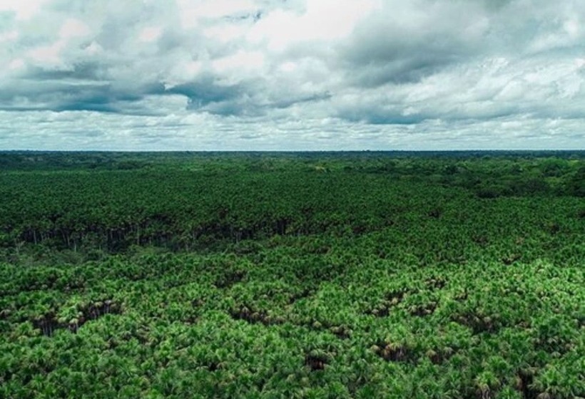 هتل Ecoamazonia Lodge