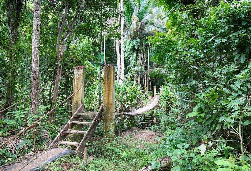 هتل Ecoamazonia Lodge
